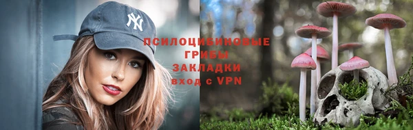 прущие крисы Алексеевка