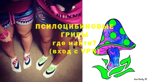 мескалин Алексин